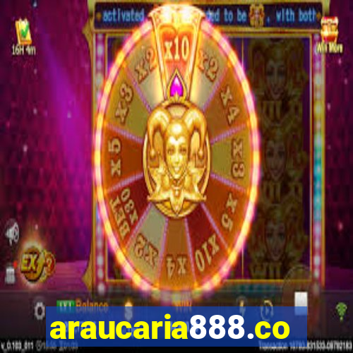 araucaria888.com