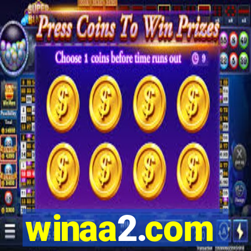 winaa2.com