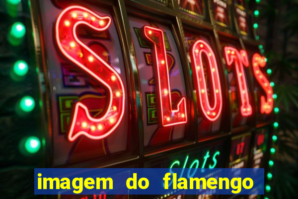 imagem do flamengo para perfil