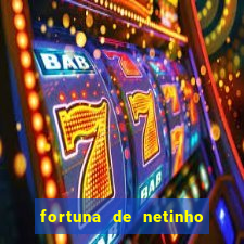 fortuna de netinho de paula