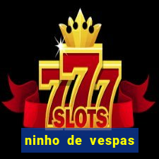 ninho de vespas significado espiritual