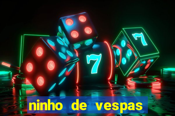 ninho de vespas significado espiritual