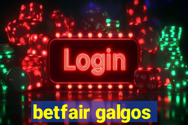 betfair galgos