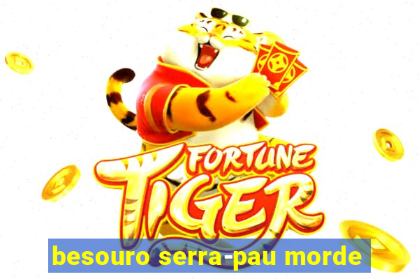 besouro serra-pau morde