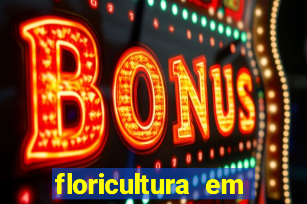floricultura em franca sp
