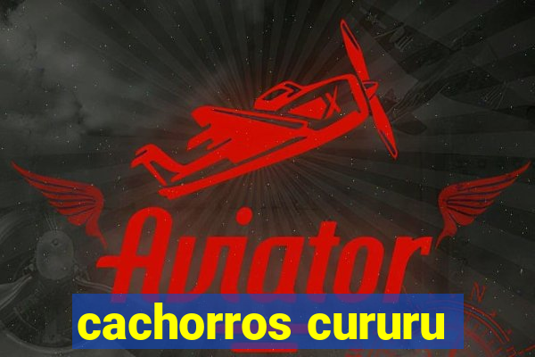 cachorros cururu
