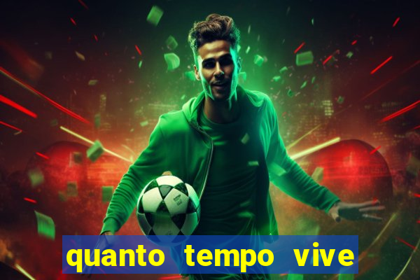 quanto tempo vive um passarinho bem-te-vi