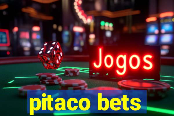 pitaco bets