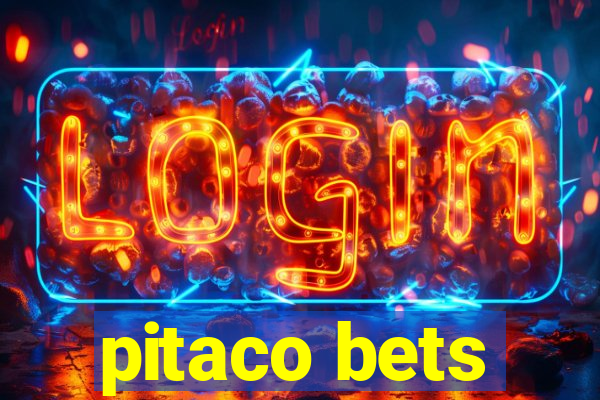 pitaco bets