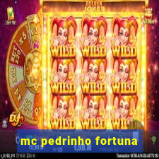 mc pedrinho fortuna