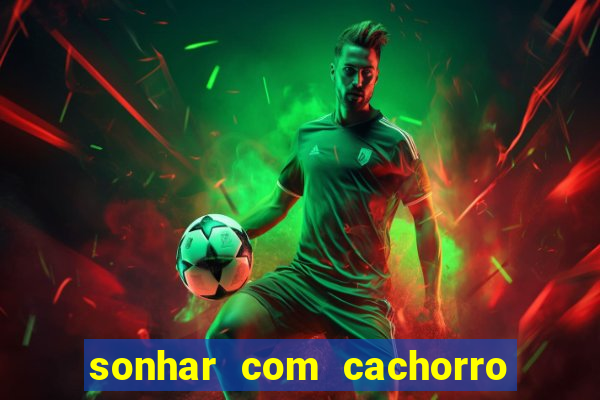 sonhar com cachorro numeros da mega sena
