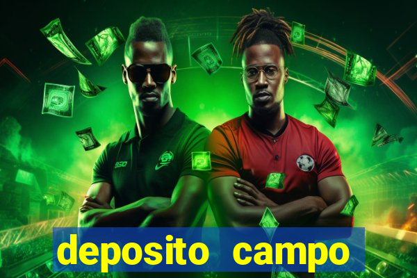 deposito campo grande santos