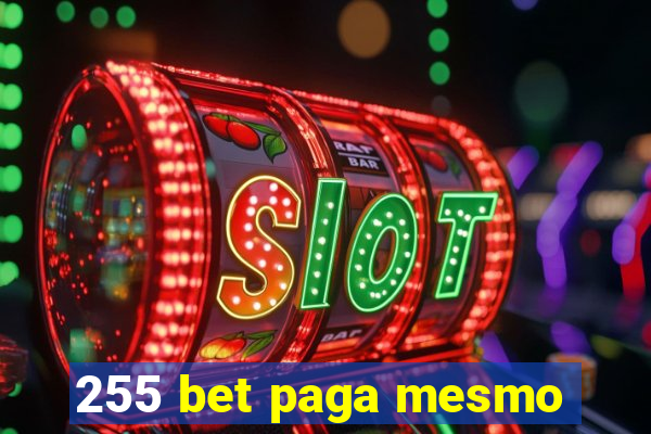 255 bet paga mesmo