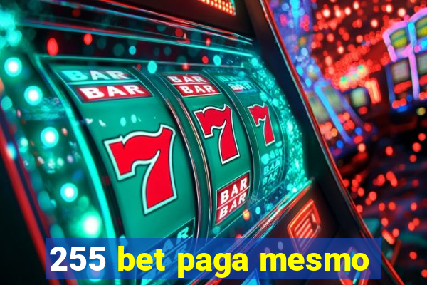 255 bet paga mesmo