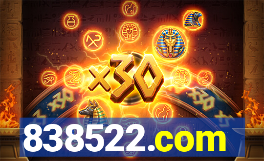 838522.com