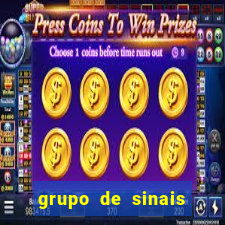 grupo de sinais trader telegram