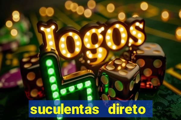 suculentas direto do produtor rs