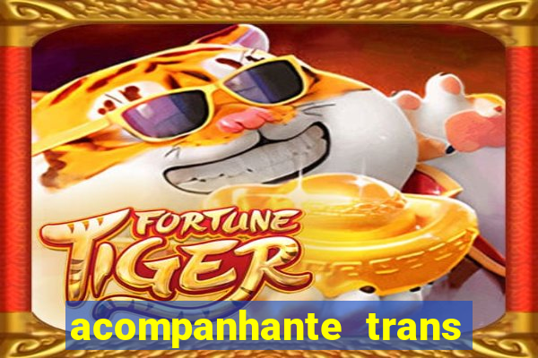 acompanhante trans de santos