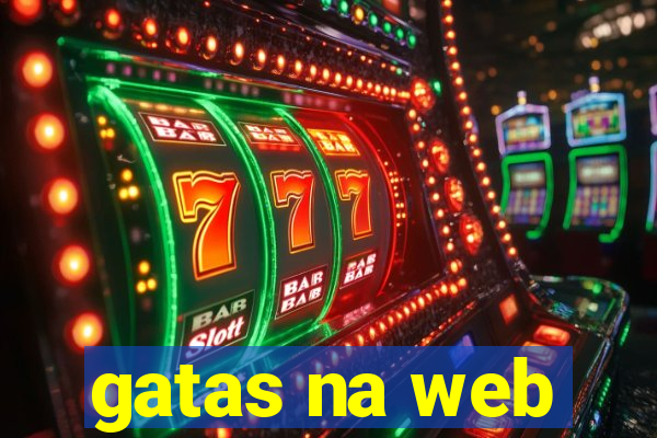 gatas na web