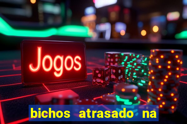 bichos atrasado na loteria dos sonhos