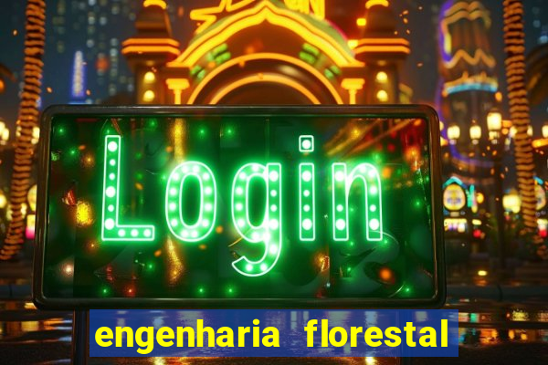 engenharia florestal ead cruzeiro do sul