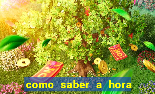 como saber a hora certa de apostar no aviator