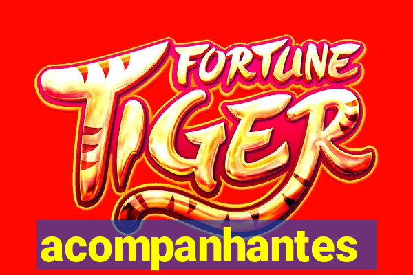acompanhantes chamadas de video