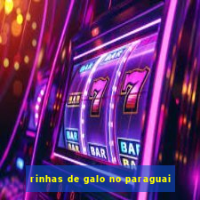 rinhas de galo no paraguai
