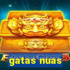 gatas nuas