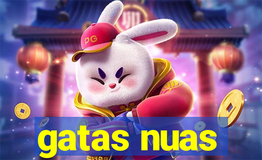gatas nuas