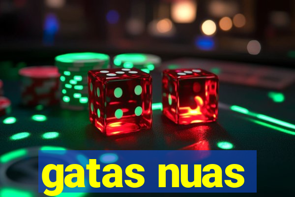 gatas nuas