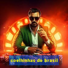coelhinhas do brasil
