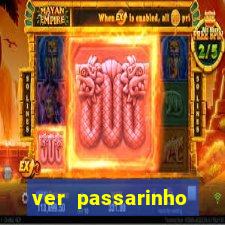 ver passarinho morto significado espiritual