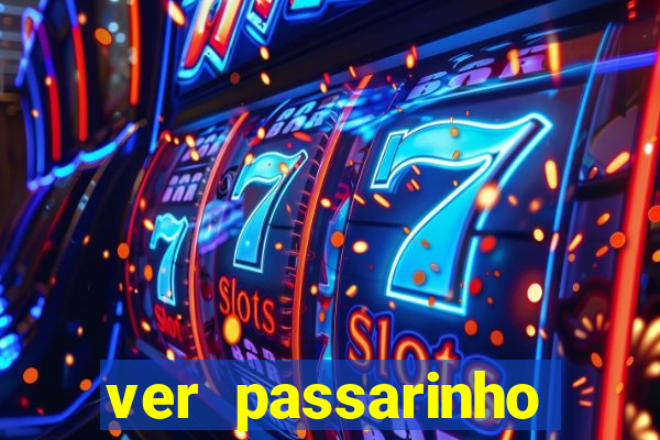ver passarinho morto significado espiritual