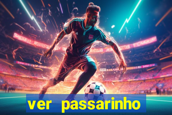 ver passarinho morto significado espiritual
