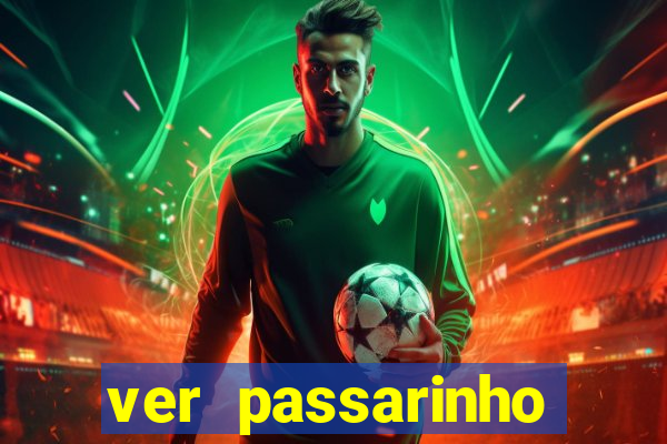ver passarinho morto significado espiritual