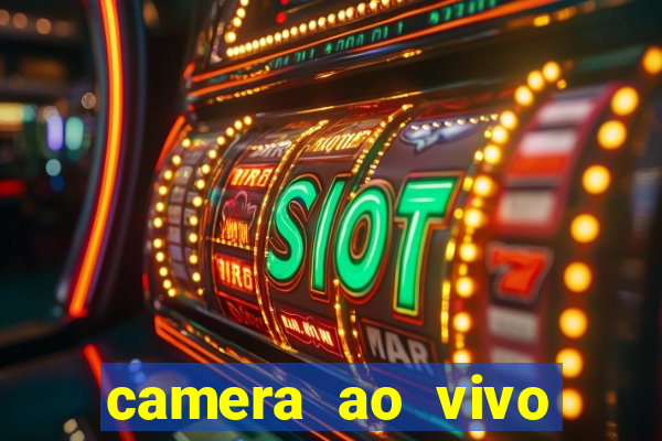 camera ao vivo porto de galinhas