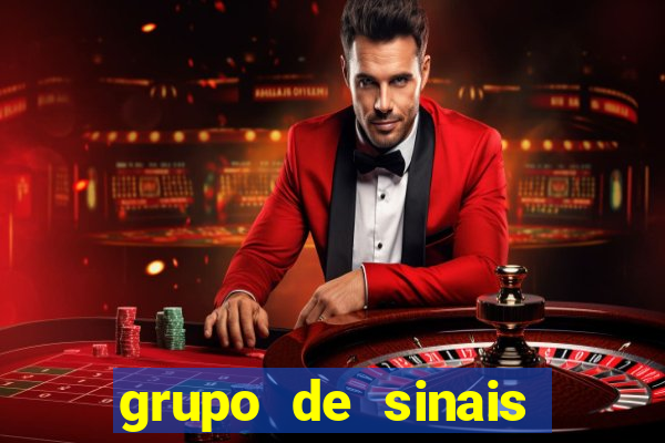 grupo de sinais fortune rabbit
